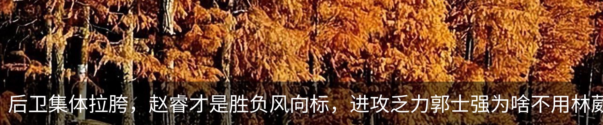 新闻中心